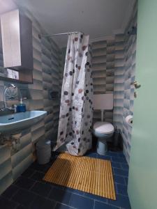 a bathroom with a toilet and a sink and a shower at Vitamin sea Studio in Panayía