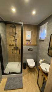 a bathroom with a shower and a toilet and a sink at HARCÓWKA in Złoty Stok