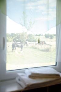 Φωτογραφία από το άλμπουμ του La ferme de la chassagne σε Devrouze