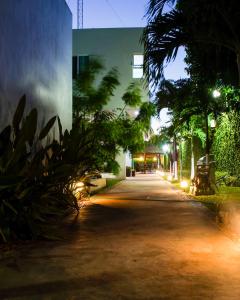 eine leere Straße in der Nacht mit Palmen und einem Gebäude in der Unterkunft Casa Xcanatun in Mérida