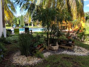 un jardín con piscina y palmeras en Casa Xcanatun en Mérida