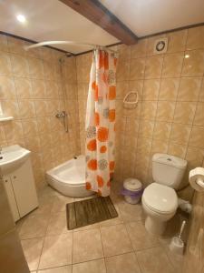 a bathroom with a toilet and a shower curtain at Pokoje gościnne pod jabłoniami in Darłowo