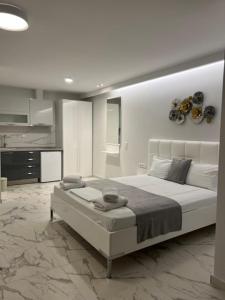 a bedroom with a large bed in a room at Rani Apartments in Chrysi Ammoudia