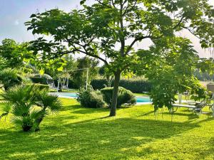 a green yard with a tree and a swimming pool at SU PASSU Country House in Fertilia
