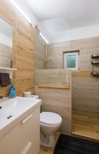 a bathroom with a toilet and a sink at Neve Nincs NYARALÓ in Balatonfüred