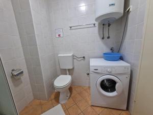 Kúpeľňa v ubytovaní Apartman Puntizela