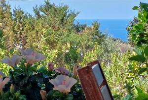 a view of a hill with flowers and the ocean at Arcamyrtus in Alghero