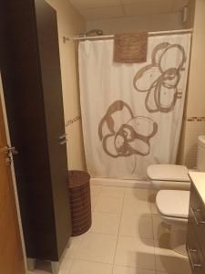 y baño con aseo y cortina de ducha. en Apartamento Molino en Almería