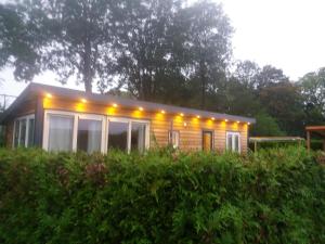 a small house with lights on top of a bush at Luxe bungalow op rustig vakantiepark. in Dronrijp