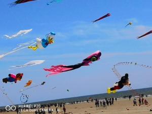 a group of people flying kites on the beach at Tente chez l'habitant in Saint-Jean-de-Monts