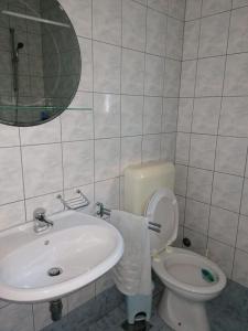 La salle de bains est pourvue d'un lavabo, de toilettes et d'un miroir. dans l'établissement Apartment Sun, à Klek