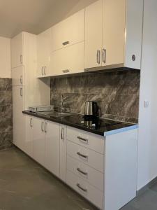 Kuchyň nebo kuchyňský kout v ubytování Villa Dafina + 24 fotografií