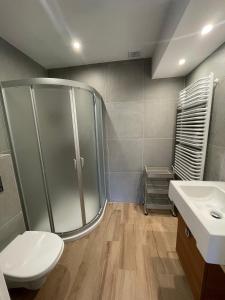 コウォブジェクにあるGreen Field Apartmentsのバスルーム(シャワー、トイレ、シンク付)