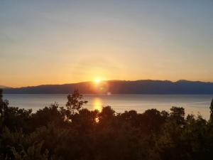 Gambar di galeri bagi Vila Anastas di Ohrid