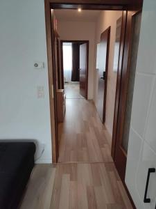 a hallway leading to a room with wooden floors and doors at Apartment 55 I Cental Hof I WiFi I TV in Hof