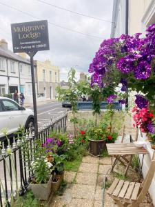 a sign for a mulberry lodge with flowers on a sidewalk at Mulgrave Lodge in Dun Laoghaire