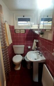 a small bathroom with a toilet and a sink at La Avutarda in San Carlos de Bariloche