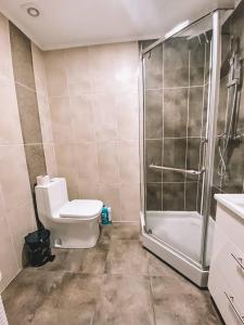 ein Bad mit einer Dusche, einem WC und einem Waschbecken in der Unterkunft Lovely Apartment in Sectorul Botanica