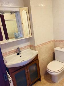 a bathroom with a sink and a toilet and a mirror at APARTAMENTO HERRERIA in Caldas de Reis