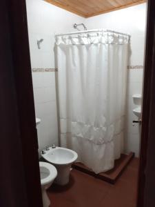 La salle de bains est pourvue d'un rideau de douche blanc et de toilettes. dans l'établissement Hostería Los Ñires, à El Calafate
