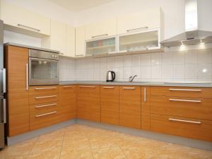 Kuchyň nebo kuchyňský kout v ubytování Apartments Vlade