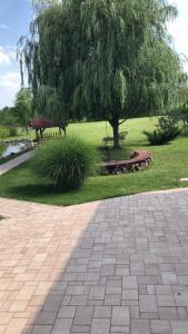 A garden outside Battonya House