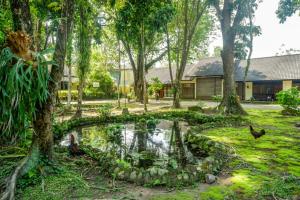 Zahrada ubytování Urbanview Resort Kampoeng Media Yogyakarta by RedDoorz + 37 fotografií