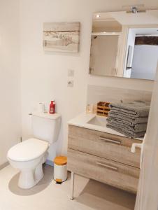 a bathroom with a toilet and a sink at LOFT Le chant des Oiseaux proche Mont St Michel in Pleine-Fougères