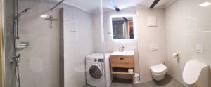 Koupelna v ubytování Ferienhaus Grabenhansl + 37 fotografií
