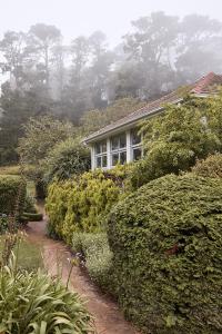 a house is surrounded by bushes and trees at Osborn House in Bundanoon
