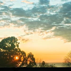 een zonsondergang boven de oceaan met een boom op de voorgrond bij Ombu Loft Olivos, Vista al Rio in Olivos