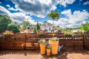 Vonkajšia záhrada v ubytovaní Apartament Natalia