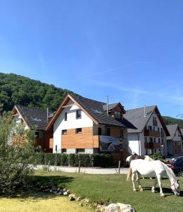 Zvířata v apartmánu nebo okolí