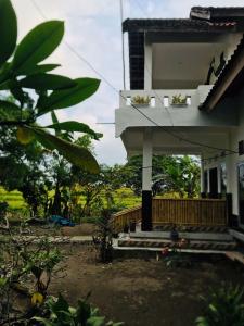 a house with a balcony and a yard at Tiara Homestay in Plambi