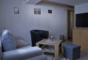 a living room with a chair and a table and a television at Haus Erna Schierke in Schierke