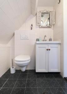 een badkamer met een toilet, een wastafel en een spiegel bij Idyllisch en knus huisje met prachtige veranda. in Oterleek