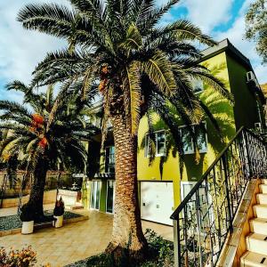 a palm tree in front of a yellow building at Palm Point Apartment in Petrovac na Moru