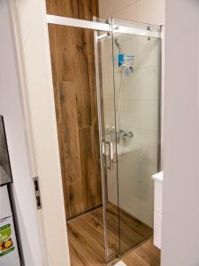 Koupelna v ubytování Apartmány Gemini + 19 fotografií