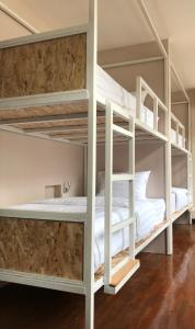 Insight Hostel emeletes ágyai egy szobában