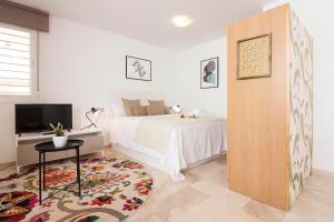 Televízia a/alebo spoločenská miestnosť v ubytovaní Teatro Suites Málaga CITY FLAT