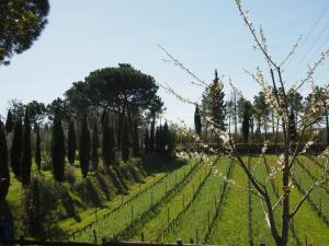 Zahrada ubytování Agriturismo Gli Archi