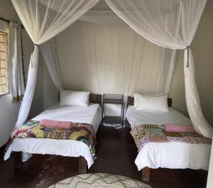 three beds in a room with a canopy at Marula Lodge in Mfuwe