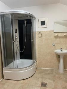 uma casa de banho com um chuveiro e um lavatório. em Pensiunea Viena em Târgu-Mureş