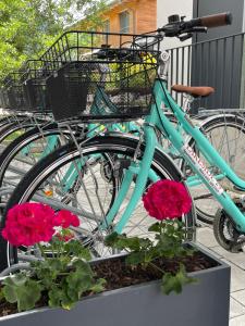 a blue bike parked next to some flowers at Apartments Lakeside 29 Zell am See in Zell am See