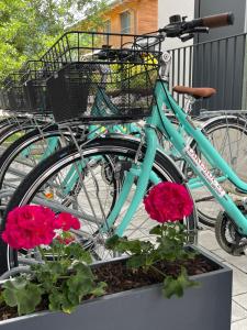 Una bicicleta azul estacionada junto a unas flores en Apartments Lakeside 29 Zell am See en Zell am See