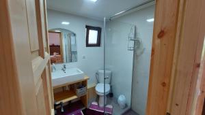 a bathroom with a toilet and a sink and a shower at Tiny house Casa Axa in Pîrîu Cîrjei