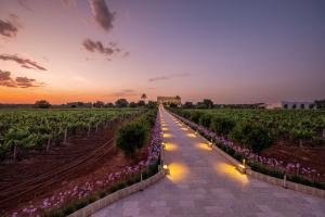 Gallery image of Tenuta Rocci Cerasoli in Parabita