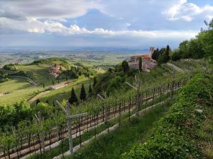 Galería fotográfica de Il glicine rosa en Parona di Valpolicella