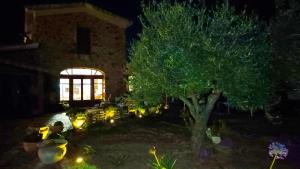 A garden outside Agriturismo Gragonti, Arbus Costa Verde