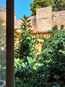 Foto de la galeria de Estudio Ca Nana a Dénia